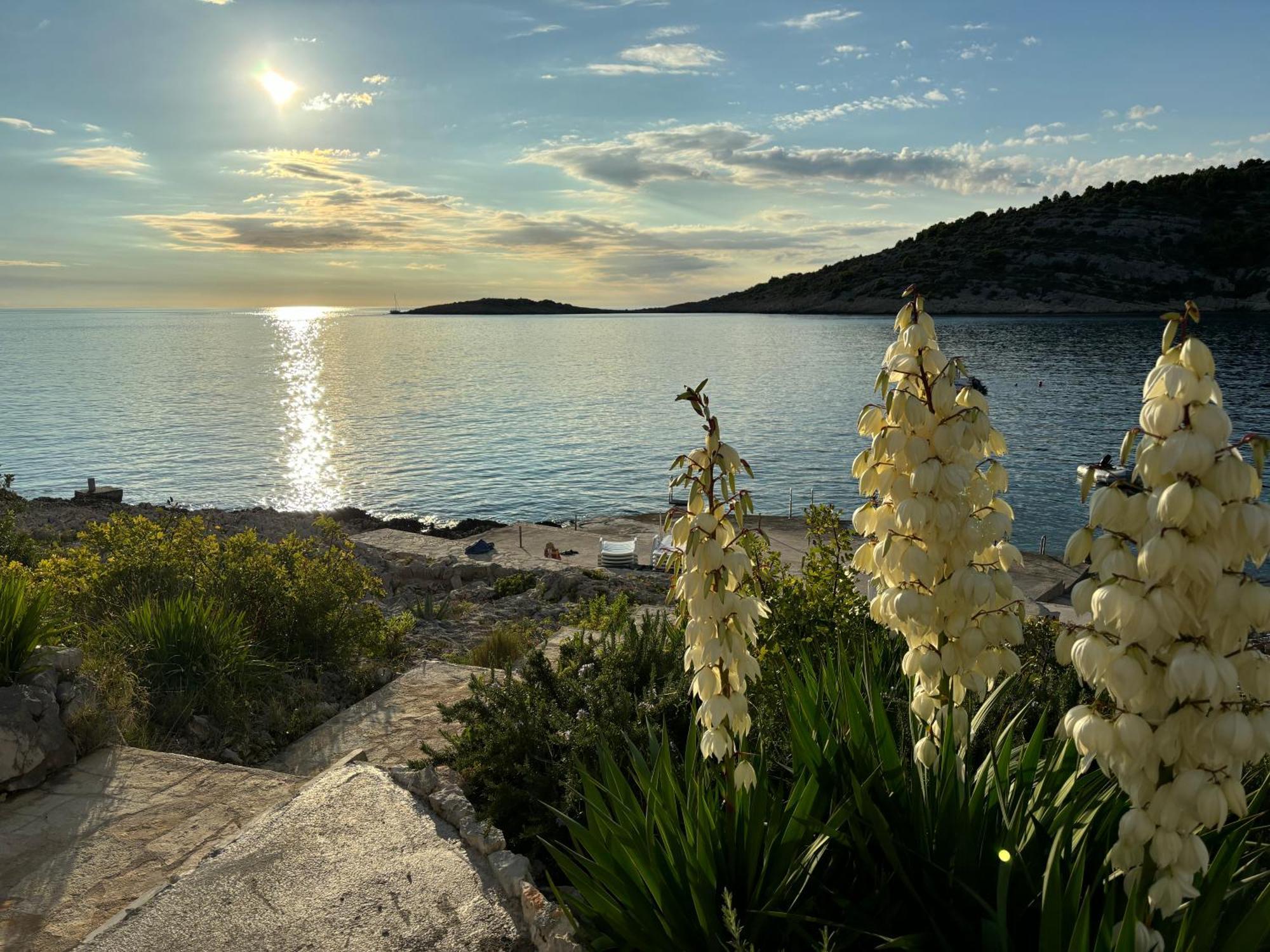 Direkt Am Meer-Apartments Puntaplanka Rogoznica  Esterno foto